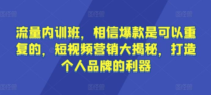 流量内训班,相信爆款是可以重复的,短视频营销大揭秘,打造个人品牌的利器-数码之翼