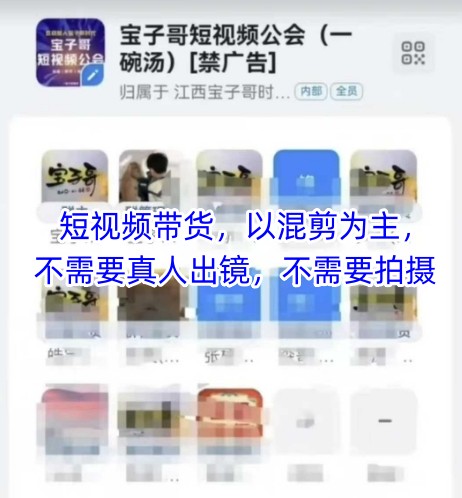 宝子哥头部团队短视频带货，以混剪为主，不需要真人出镜，不需要拍摄【更新26年3月】-数码之翼