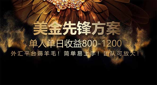 免费技术！小众赛道！一年布局抵三年努力，每日800+-数码之翼