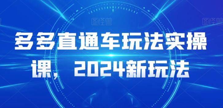多多直通车玩法实操课,2024新玩法-数码之翼