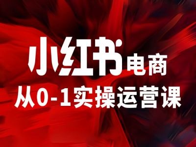 小红书电商从0-1实操运营课，让你从小白到精英-数码之翼