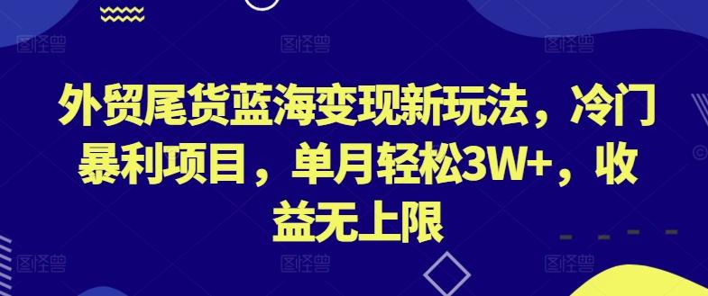 外贸尾货蓝海变现新玩法，冷门暴利项目，单月轻松3W+，收益无上限【揭秘】-数码之翼