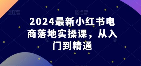 2024最新小红书电商落地实操课，从入门到精通-数码之翼