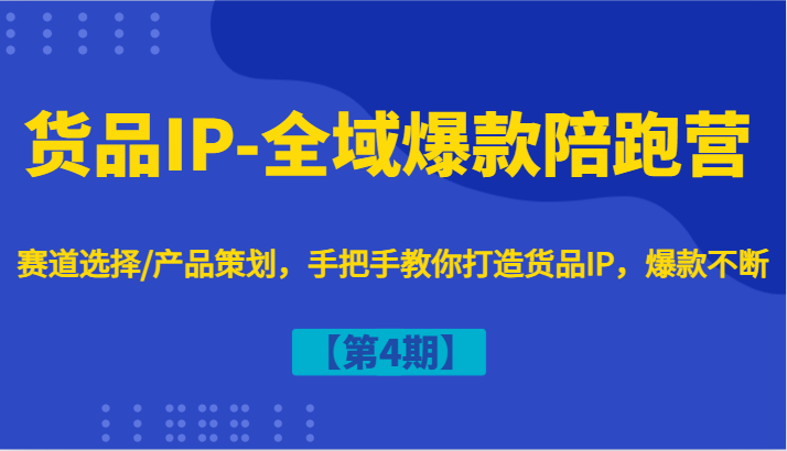 货品IP-全域爆款陪跑营【第4期】赛道选择/产品策划，手把手教你打造货品IP，爆款不断-数码之翼
