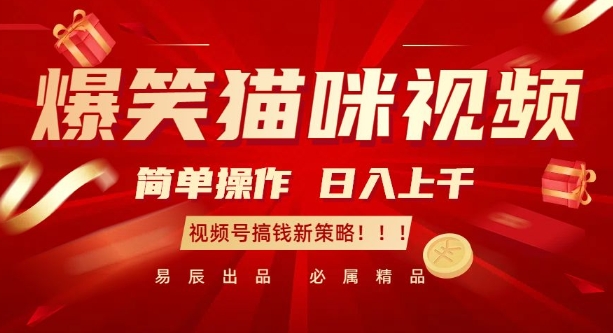 爆笑猫咪视频：简单操作，日入过K，视频号搞钱新策略【揭秘】-数码之翼