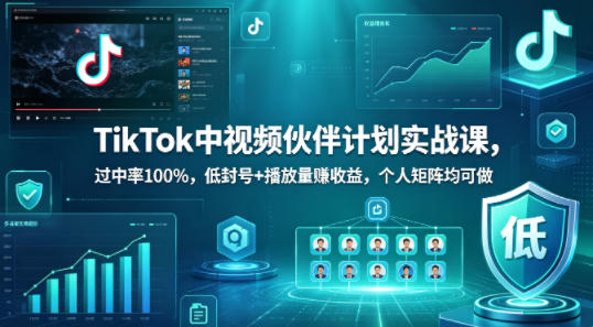 TikTok中视频伙伴计划实战课，过中率100%，低封号+播放量賺收益，个人矩阵均可做-数码之翼