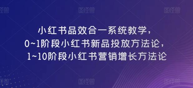 小红书品效合一系统教学，​0~1阶段小红书新品投放方法论，​1~10阶段小红书营销增长方法论-数码之翼
