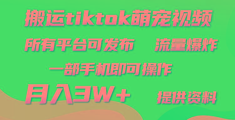 (9618期)搬运Tiktok萌宠类视频，一部手机即可。所有短视频平台均可操作，月入3W+-数码之翼