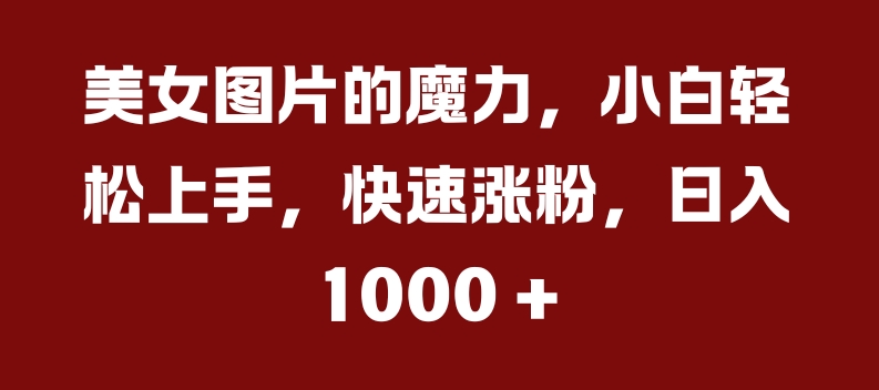 美女图片的魔力，小白轻松上手，快速涨粉，日入几张【揭秘】-数码之翼