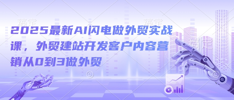 2025最新AI闪电做外贸实战课，外贸建站开发客户内容营销从0到3做外贸-数码之翼