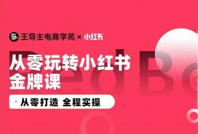 王导主·小红书电商运营实操课,从零打造 全程实操-数码之翼