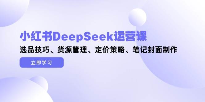 小红书DeepSeek运营课，选品技巧、货源管理、定价策略、笔记封面制作-数码之翼