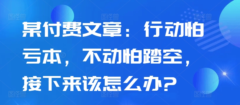 某付费文章：行动怕亏本，不动怕踏空，接下来该怎么办?-数码之翼