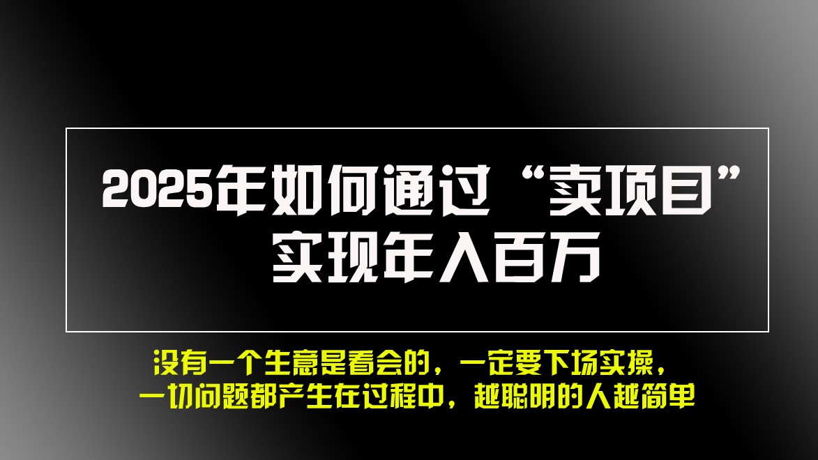2025年如何通过“卖项目”实现年入百万-数码之翼