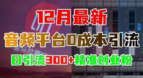 12月最新：音频平台0成本引流，日引流300+精准创业粉-数码之翼