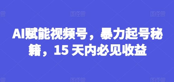 AI赋能视频号，暴力起号秘籍，15 天内必见收益【揭秘】-数码之翼