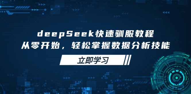 deepSeek快速驯服教程，从零开始，轻松掌握数据分析技能-数码之翼
