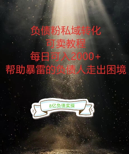 负债粉掘金计划，帮助负债者解决问题，债务规划，债务重组，最好的变现方式【揭秘】-数码之翼