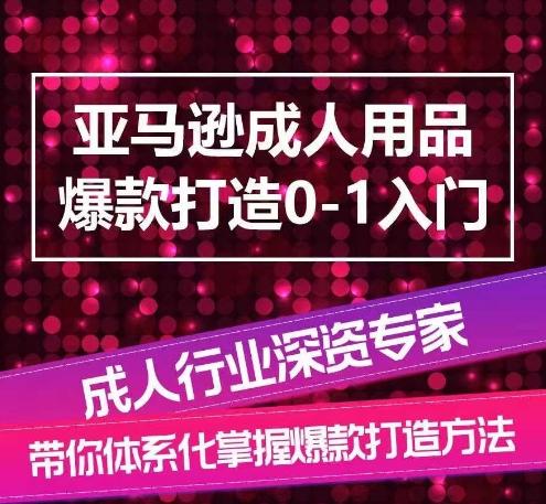 亚马逊成人用品爆款打造0-1入门，系统化讲解亚马逊成人用品爆款打造的流程-数码之翼