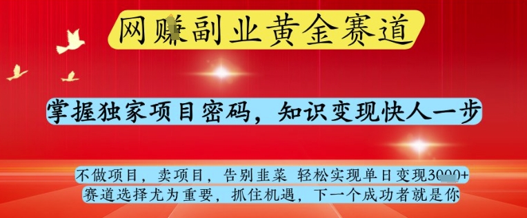 网创副业黄全赛道，掌握独家项目密码，知识变现快人一步，告别韭菜轻松实现单日变现1k+【揭秘】-数码之翼