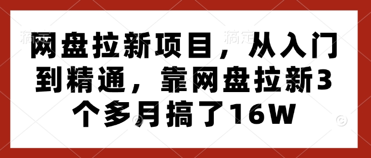 网盘拉新项目，从入门到精通，靠网盘拉新3个多月搞了16W-数码之翼
