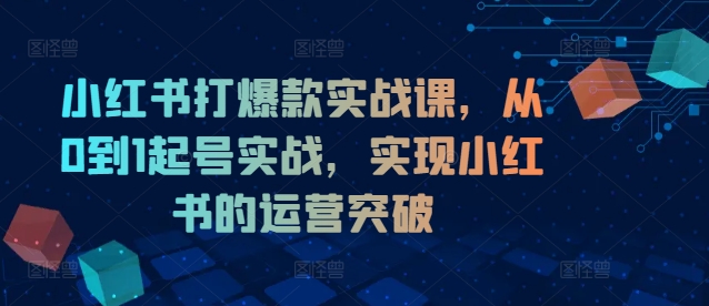 小红书打爆款实战课，从0到1起号实战，实现小红书的运营突破-数码之翼