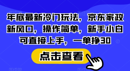 年底最新冷门玩法，京东家政新风口，操作简单，新手小白可直接上手，一单挣30【揭秘】-数码之翼