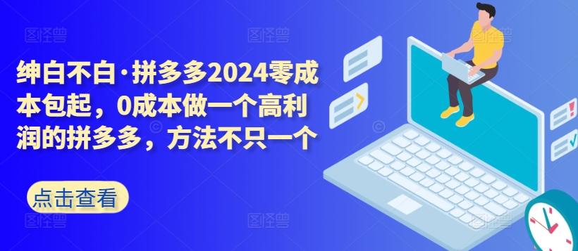 拼多多2024零成本包起，0成本做一个高利润的拼多多，方法不只一个-数码之翼