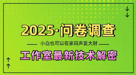 2025问卷调查最新工作室技术解密：一个人在家也可以闷声发大财，小白一天2张，可矩阵放大【揭秘】-数码之翼