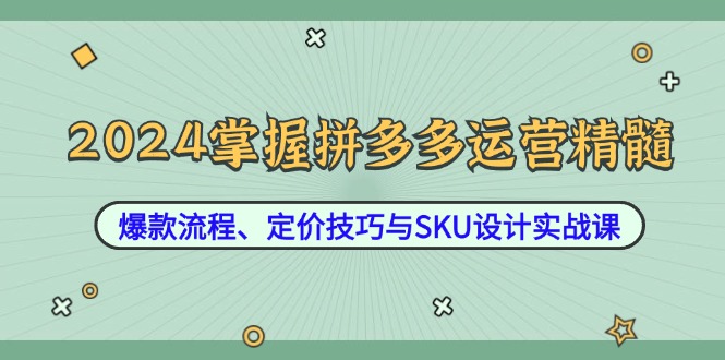 2024掌握拼多多运营精髓：爆款流程、定价技巧与SKU设计实战课-数码之翼