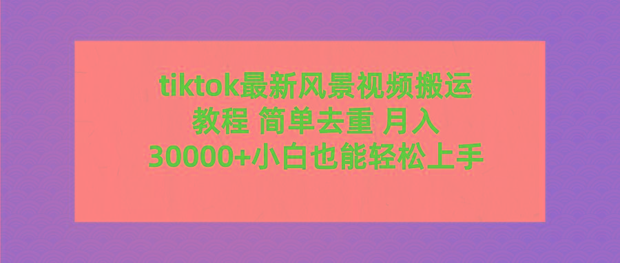 (9804期)tiktok最新风景视频搬运教程 简单去重 月入30000+附全套工具-数码之翼