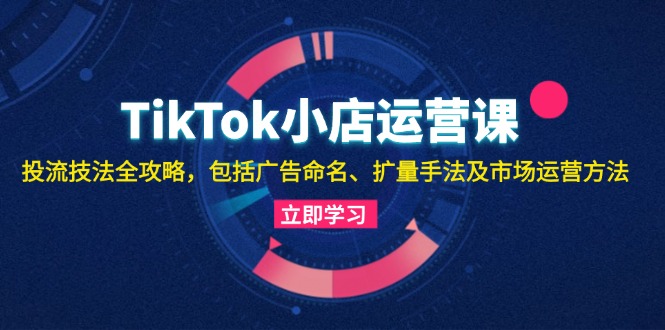TikTok小店运营课：投流技法全攻略，包括广告命名 扩量手法及市场运营方法-数码之翼