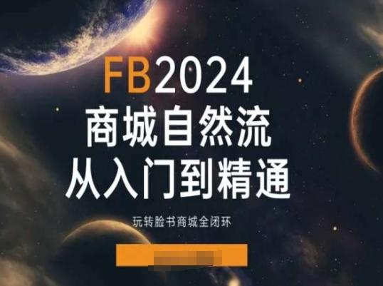 2024Faceboo商城自然流(从入门到精通)，玩转脸书商城全闭环-数码之翼