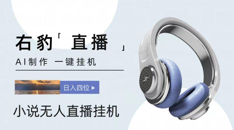 右豹小说无人直播挂机吸金项目，简单易行收益稳定， 月入1000+-数码之翼