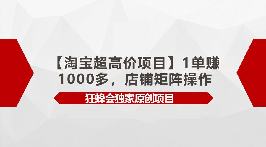 【淘宝超高价项目】1单赚1000多，店铺矩阵操作-数码之翼