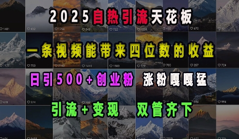2025自热引流天花板，一条视频能带来四位数的收益，引流+变现双管齐下，日引500+创业粉，涨粉嘎嘎猛-数码之翼