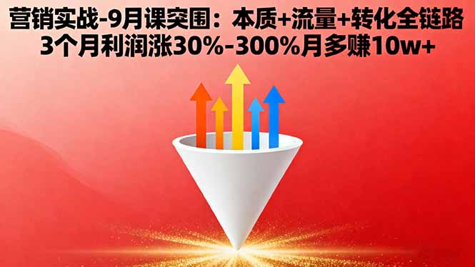 营销实战-9月突围课:本质+流量+转化全链路 3个月利润涨30%-300%月多赚10w+-数码之翼