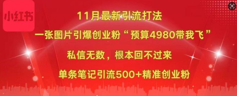 小红书11月最新图片打粉，一张图片引爆创业粉，“预算4980带我飞”，单条引流500+精准创业粉-数码之翼