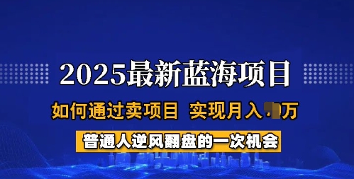 2025蓝海项目，普通人如何通过卖项目，实现月入过W，全过程【揭秘】-数码之翼
