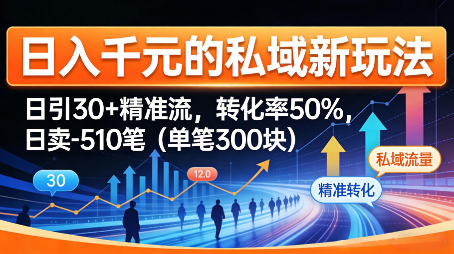 日入千米的私域新玩法：日引30＋精准流，转化率50%，日卖5-10笔(单笔300米)-数码之翼