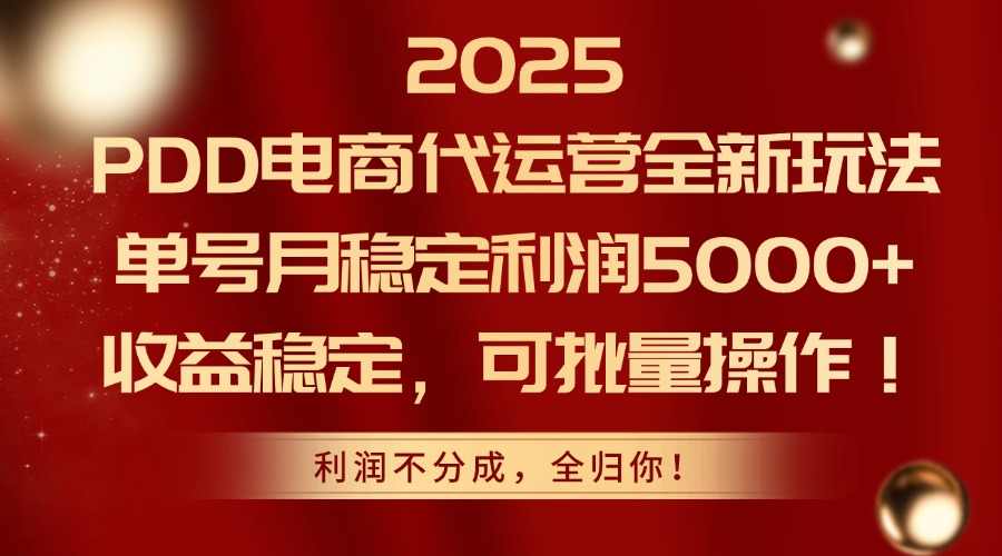 2025PDD电商代运营全新玩法，单号月稳定利润5000+，收益稳定，可批量操作-数码之翼