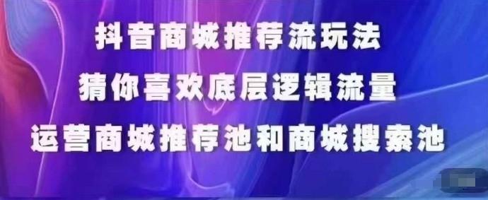 抖音商城运营课程，猜你喜欢入池商城搜索商城推荐人群标签覆盖-数码之翼