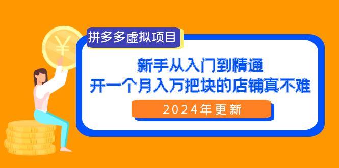 (9744期)拼多多虚拟项目:入门到精通,开一个月入万把块的店铺 真不难(24年更新)-数码之翼