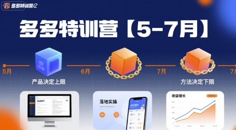 多多特训营，产品决定上限，方法决定下限，各种玩法技巧落地实操(更新)-数码之翼