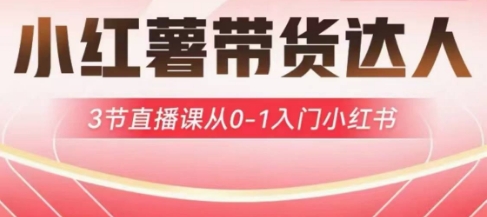 小红薯达人带货启航计划，3节直播课从0-1入门小红书-数码之翼
