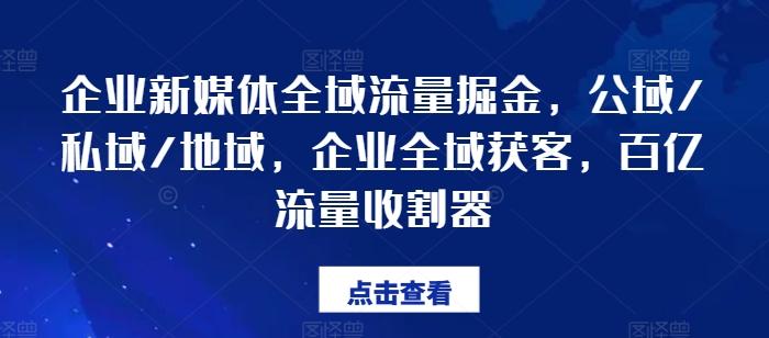 企业新媒体全域流量掘金，公域/私域/地域，企业全域获客，百亿流量收割器-数码之翼