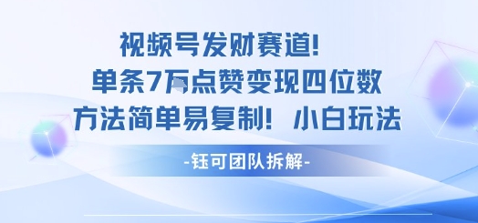 视频号发财赛道单条7W点赞变现四位数方法简单易复制小白玩法-数码之翼