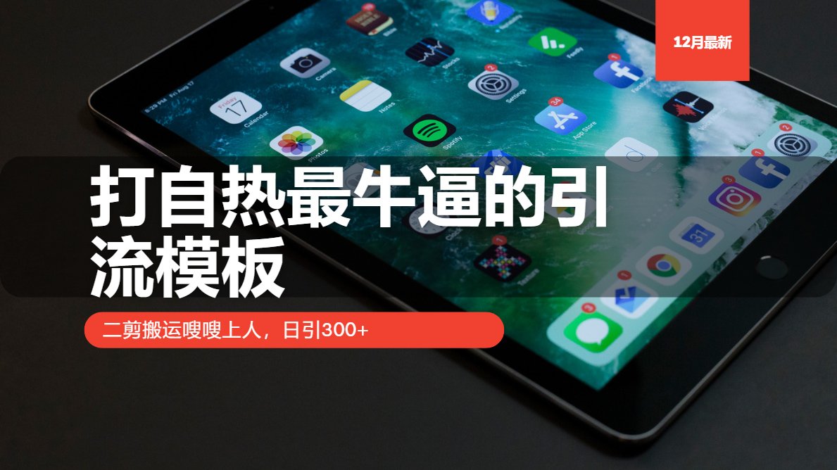 打自热最牛逼的引流模板，二剪搬运嗖嗖上人，日引300+-数码之翼