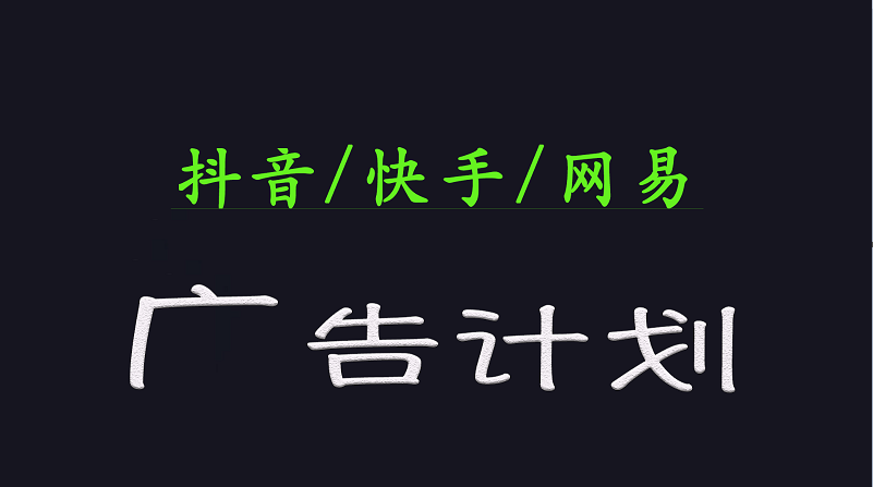 2025短视频平台运营与变现广告计划日入1000+，小白轻松上手-数码之翼