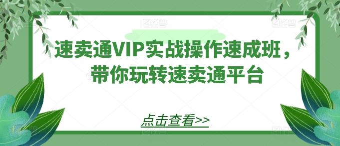 速卖通VIP实战操作速成班，带你玩转速卖通平台-数码之翼